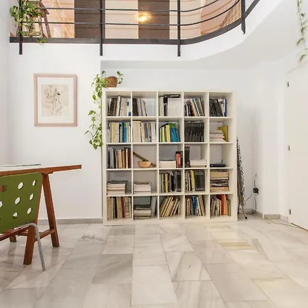 Lf Parking Incluido Amplio Loft En Barrio Santa Cruz 公寓